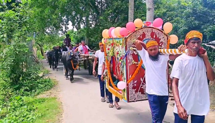 ঘোড়ায় বর, পালকিতে কনে; মহিষ ও গরুর গাড়িতে বরযাত্রী