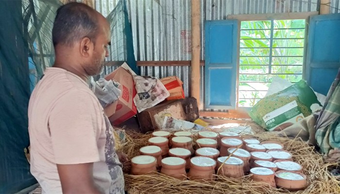 ​নাসিরের ভাগ্যের চাকা ঘুরাল ‘টকমিষ্টি সর দই’