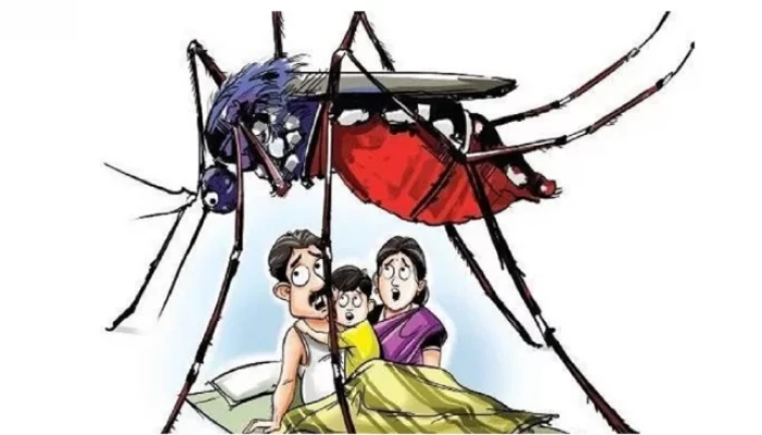 ঘরে ঘরে ডেঙ্গু রোগী: জায়গা নেই হাসপাতালে