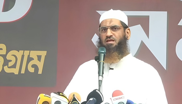 সরকার জাতির সঙ্গে প্রতারণা করেছে: মামুনুল হক
