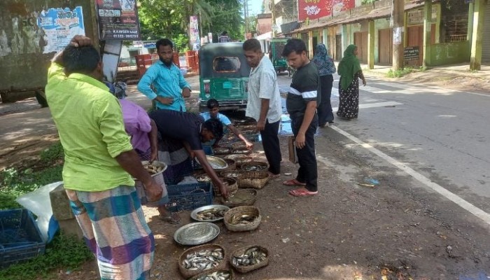 হাওরের মাছে জমজমাট ‘রাজনগরের হাট’