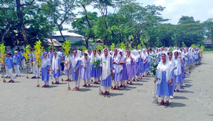 কলাপাড়ায় শিক্ষার্থীদের মাঝে গাছের চারা বিতরণ