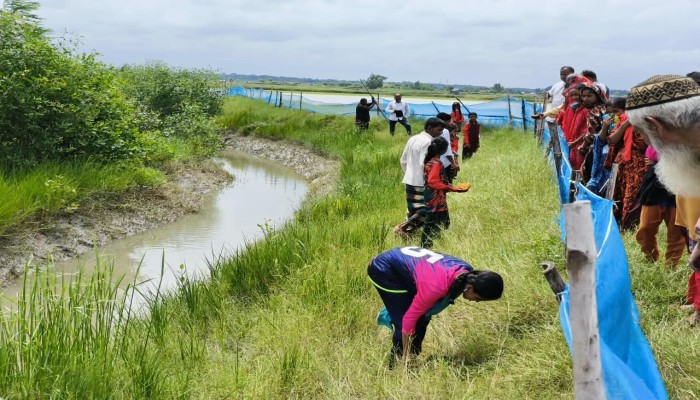 জলবায়ু পরিবর্তন মোকাবিলায় গাছের চারা ও বীজ বিতরণ