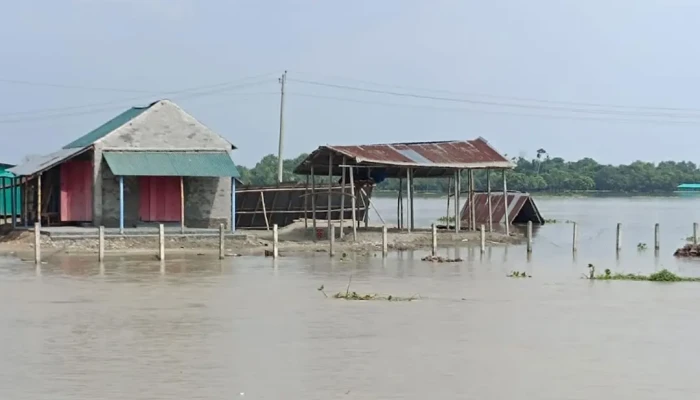১০ দিন পর পদ্মায় কমছে পানি, বাড়ছে মহানন্দা ও পূনর্ভবায়