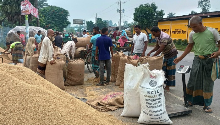 ধানের বাজারে আমদানির ধাক্কা