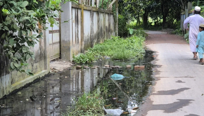 রাজবাড়ীতে মশার উপদ্রবে অতিষ্ঠ পৌরবাসী