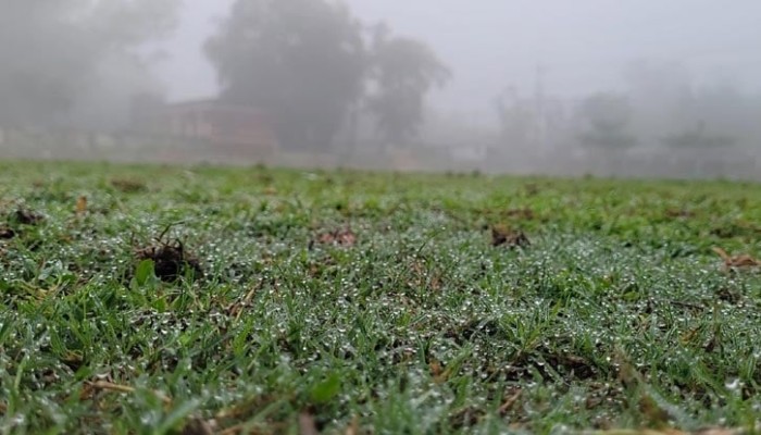 শিশিরে ভিজল ফসলের মাঠ