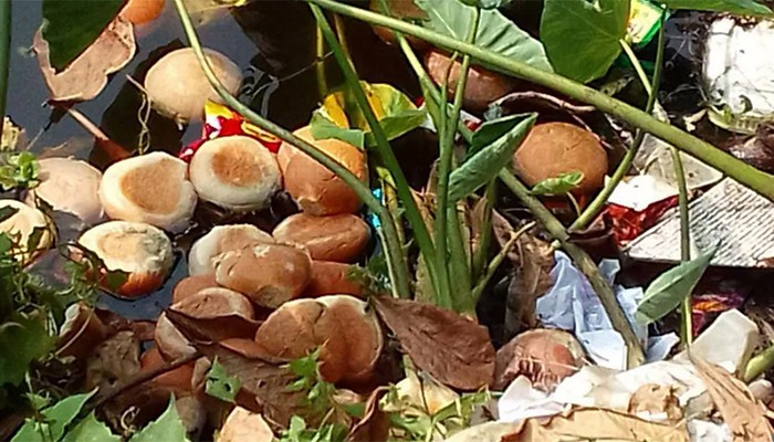​শিক্ষার্থীদের মিড ডে মিলের রুটি পুকুরে, তদন্তের নির্দেশ