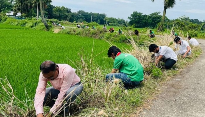 বজ্রপাত প্রতিরোধে পাঁচ হাজার তালবীজ রোপণ