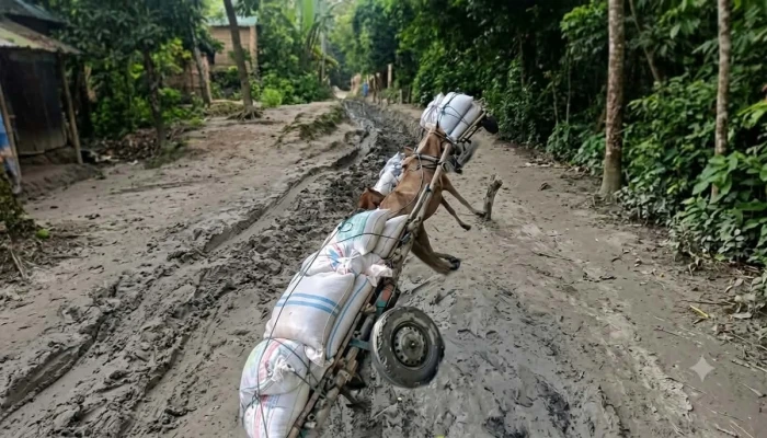 নাগরপুরে রাস্তার বেহাল দশা, দুর্ভোগে হাজারো মানুষ