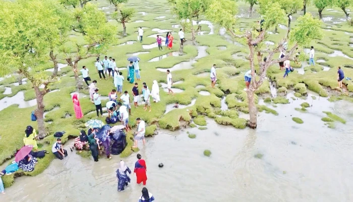 বরগুনার তালতলীতে সুন্দরের হাতছানি