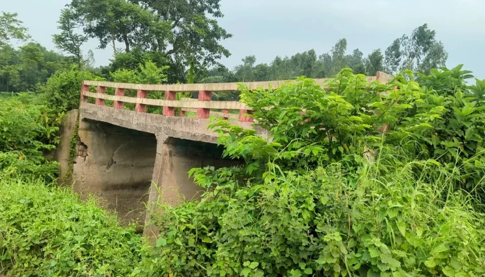 ৩০ লাখের সেতু ৩ বছরেই ধস, ৫ বছরেও হয়নি সংস্কার