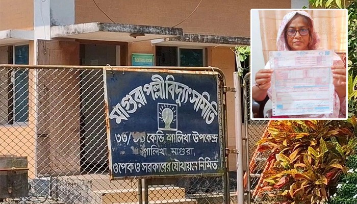 মাগুরায় অস্বাভাবিক বিলের ঘটনায় পল্লী বিদ্যুতের তিন কর্মী বরখাস্ত