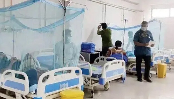 ​ডেঙ্গুতে ৯ মাসে মৃত্যু দাঁড়াল ২৫০ জনে