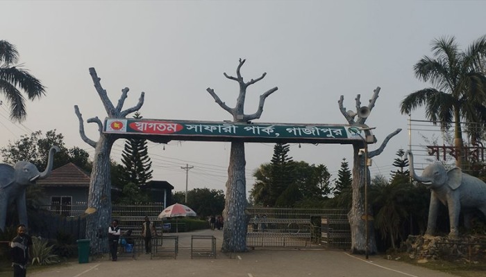 জৌলুস হারাচ্ছে গাজীপুর সাফারি পার্ক