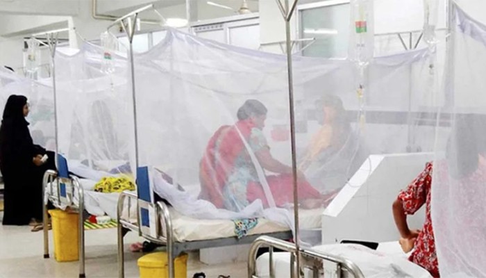 ​ডেঙ্গুতে একদিনে রেকর্ড ১০ জনের মৃত্যু