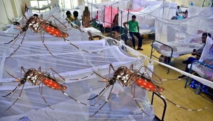 অক্টোবরের ৯ দিনেই ডেঙ্গুতে অর্ধশত মৃত্যু