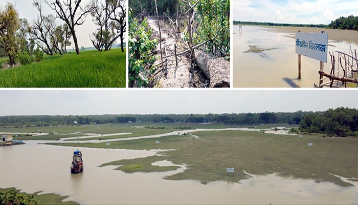 অস্তিত্ব সংকটে গঙ্গামতির সংরক্ষিত বনাঞ্চল