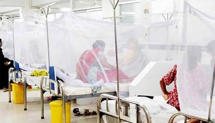 ডেঙ্গুতে মৃত্যু ৩০০ ছুঁইছুঁই