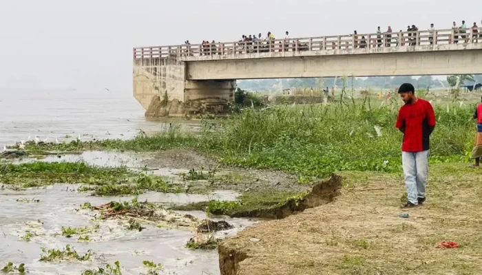 পদ্মার ভাঙনে বিলীন ৬ বছর আগে নির্মিত কোটি টাকার দীর্ঘ সেতু