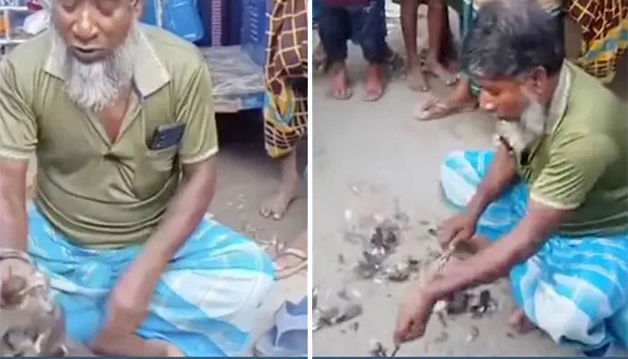 ৫০০ টাকা বাজিতে জীবন্ত শালিক খেয়ে ভিডিও, অভিযুক্তকে খুঁজছে পুলিশ