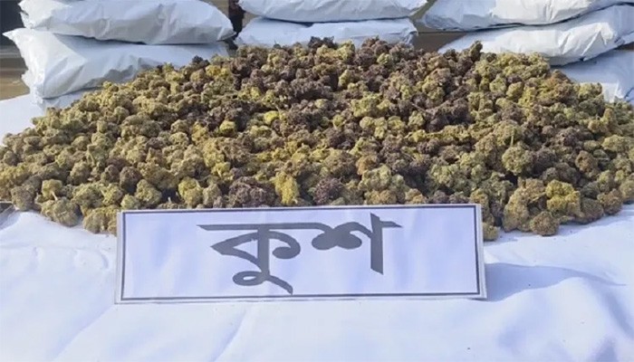 বাংলাদেশে ঢুকছে নতুন মাদক ‘কুশ’: কতটা বিপজ্জনক এই মাদক?