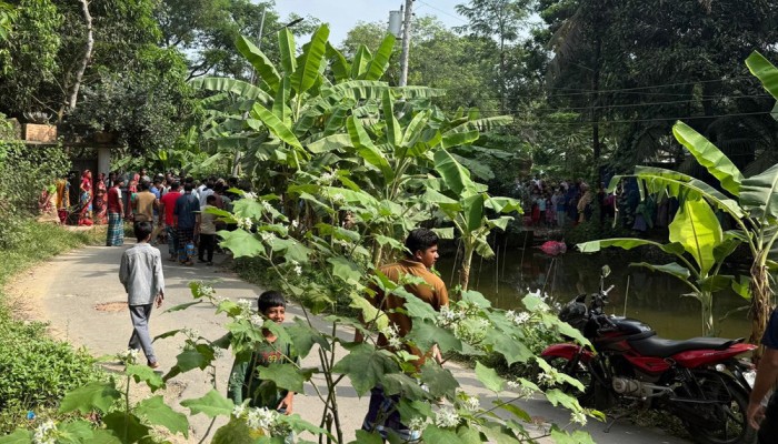 বিদ্যুতের তার ছিঁড়ে পড়ে ছিল পুকুরে, নামতেই প্রাণ গেল নারীর