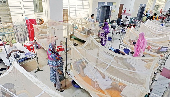 ডেঙ্গুতে আরও চার মৃত্যু, হাসপাতালে ভর্তি ১৫১২