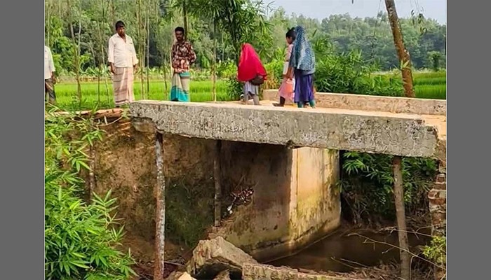 ​খুঁটির ওপর দাঁড়িয়েছে কালভার্ট, যেকোনো মুহূর্তে দুর্ঘটনার শঙ্কা