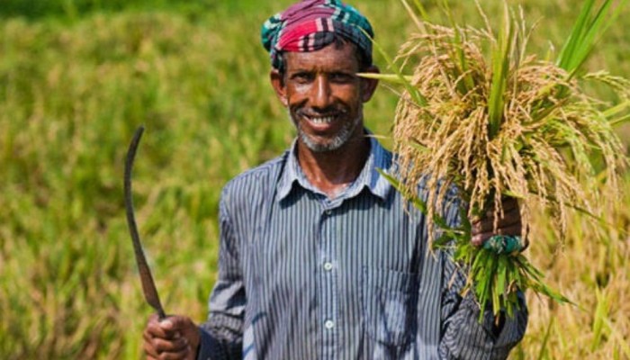 চাঙ্গা হচ্ছে গ্রামীণ অর্থনীতি