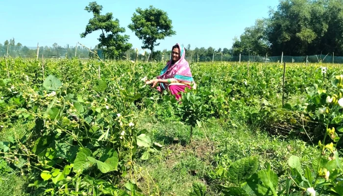 সবুজের বুকে সেলিনার স্বপ্নবুনন