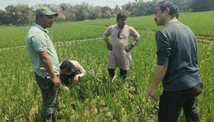 মারাত্ত্বক স্বাস্থ্যঝুঁকিতে চৌগাছাবাসী: প্রতি লিটার পানিতে ২০ মিলিগ্রাম আর্সেনিক